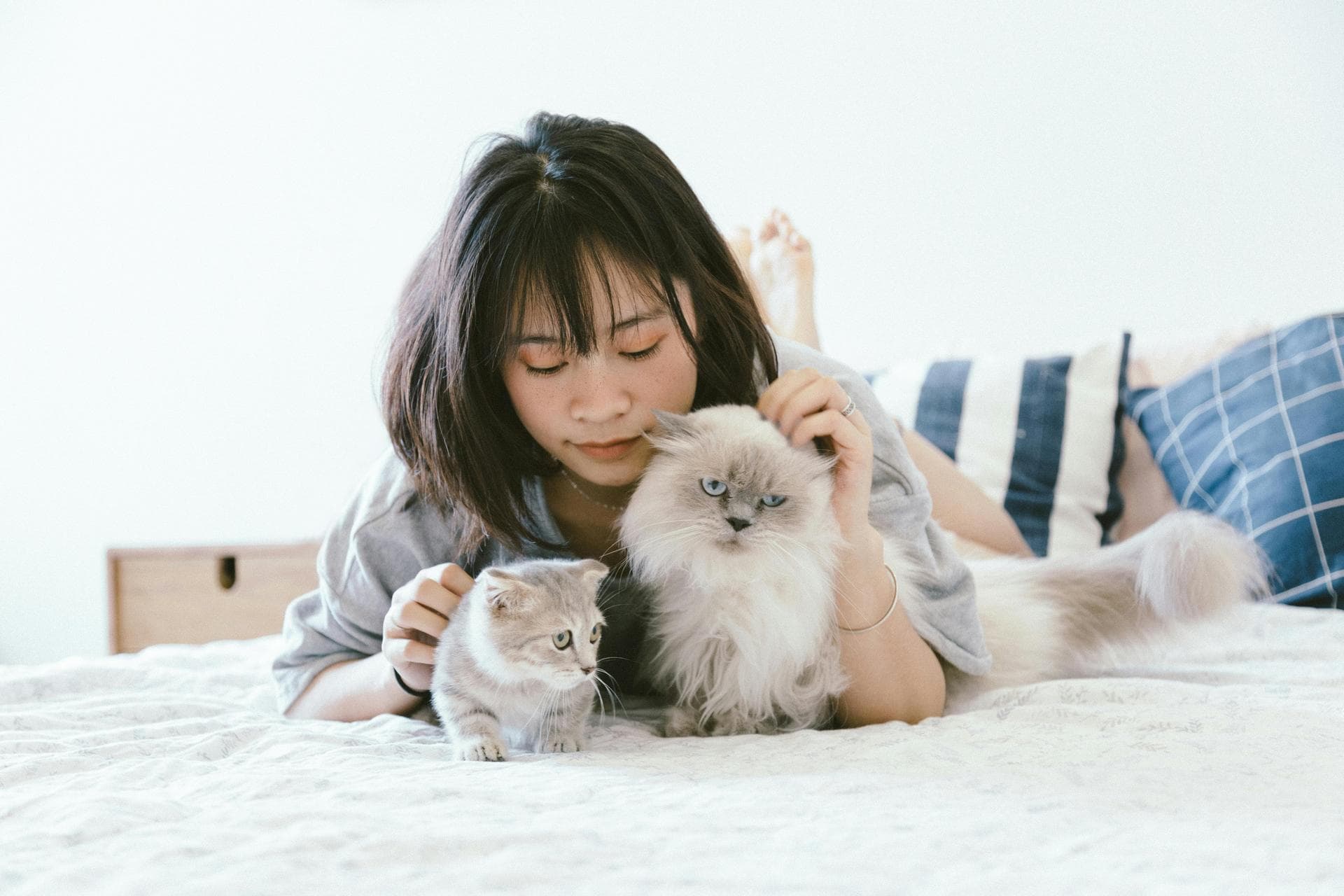 Vet Consultation Prices in Doncaster